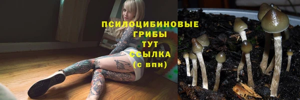 индика Михайловка