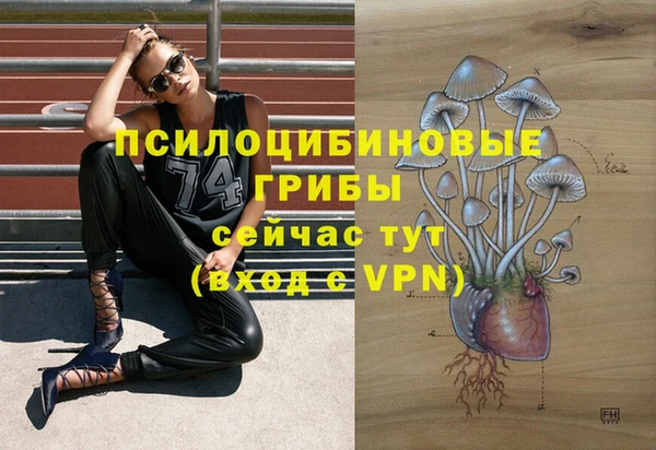 мяу мяу мука Надым
