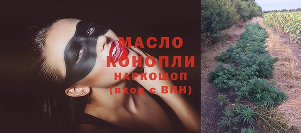 индика Михайловка