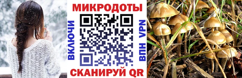 Псилоцибиновые грибы GOLDEN TEACHER  Всеволожск 