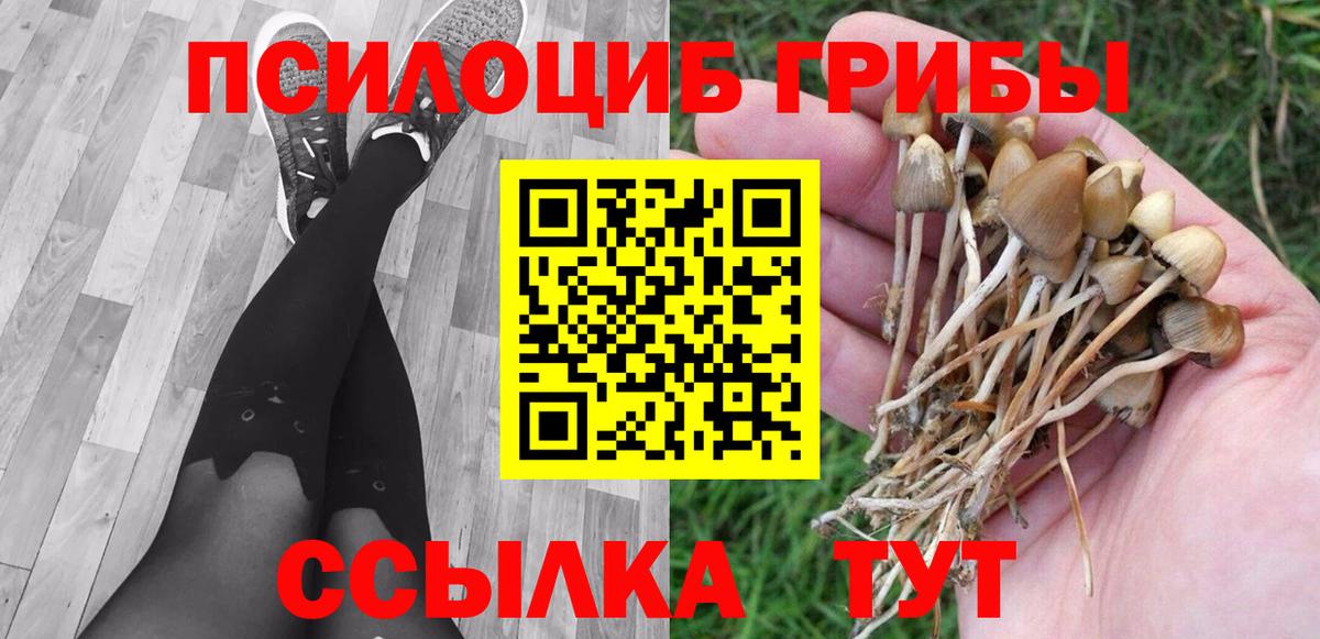 Псилоцибиновые грибы ЛСД Всеволожск